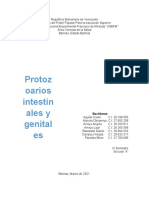 Protozoarios intestinales y genitales