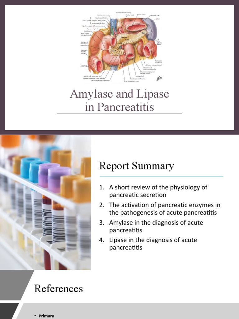 Amylase and Lipase | PDF | Pancreas | Gastroenterology