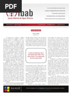informativo-ibab-agosto-2010