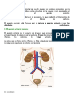 Sistema Excretor, Endocrino, Nervioso. Grado 5°.