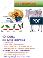 BG Hoa Sinh Dong Vat