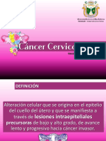 Cáncer Cervico-Uterino (CaCu)