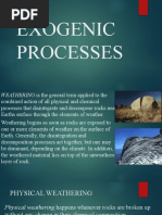 Exogenic Processes