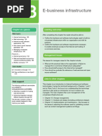 CH 3. E-Business Infrastructure