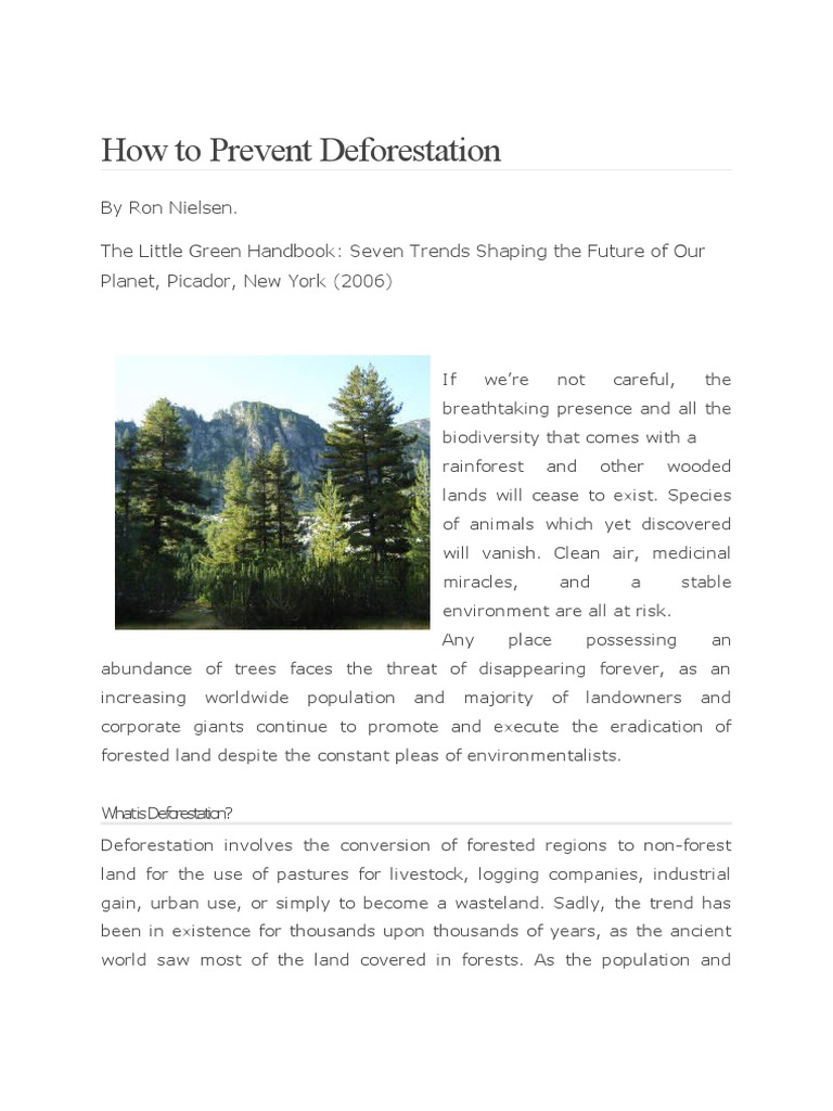 10 Ways to Prevent Deforestation | PDF | Deforestation | Forests