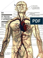 M. Prives, N. Lisenkov, V. Bushkovich - Anatomía Humana, II