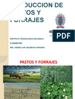 Pastos y Forrajes Tema 2