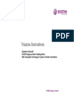 EVONIK Triazine Crosslinker Presentation