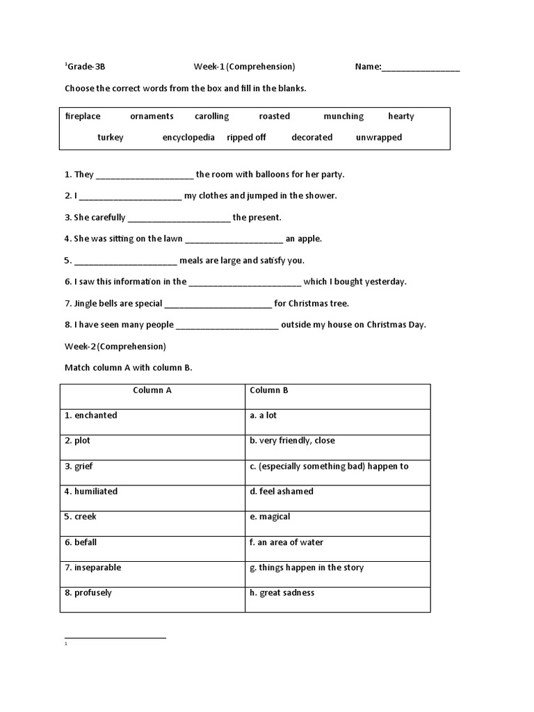 Grade 3 Vocabulary Comprehension Exercises | PDF