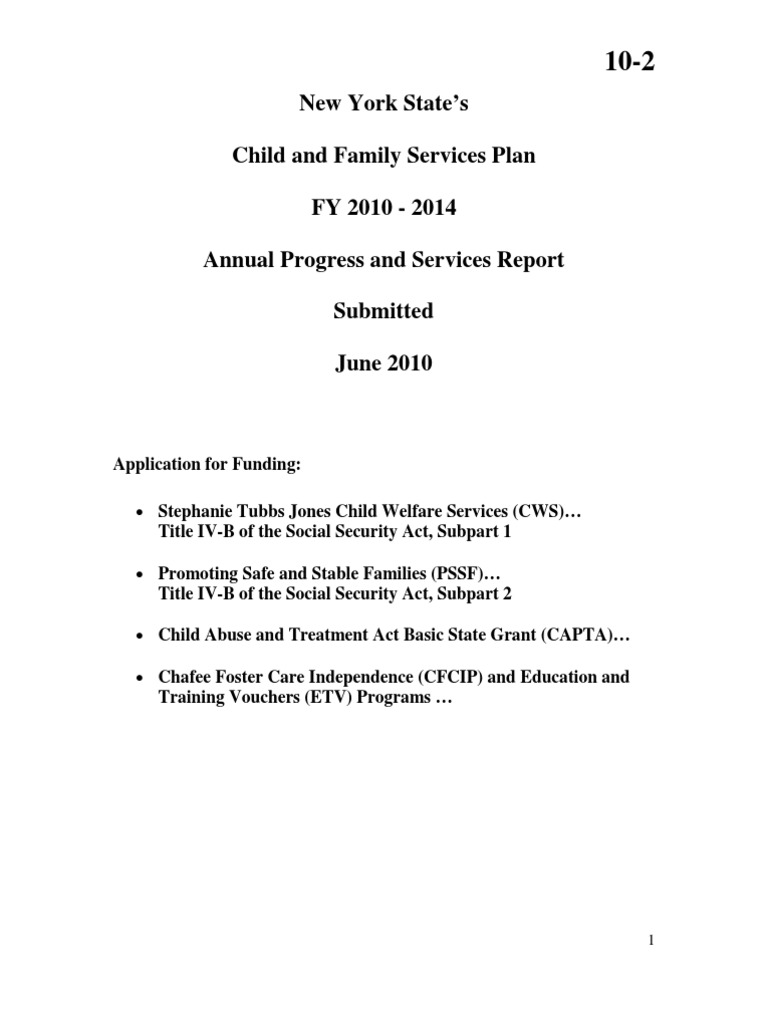 New York State Fiscal Year 20102014 Annual Progress Service Report
