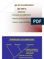 2010 02 - Int Eumetazoa e Cnidaria Anthozoa - Sem Figuras