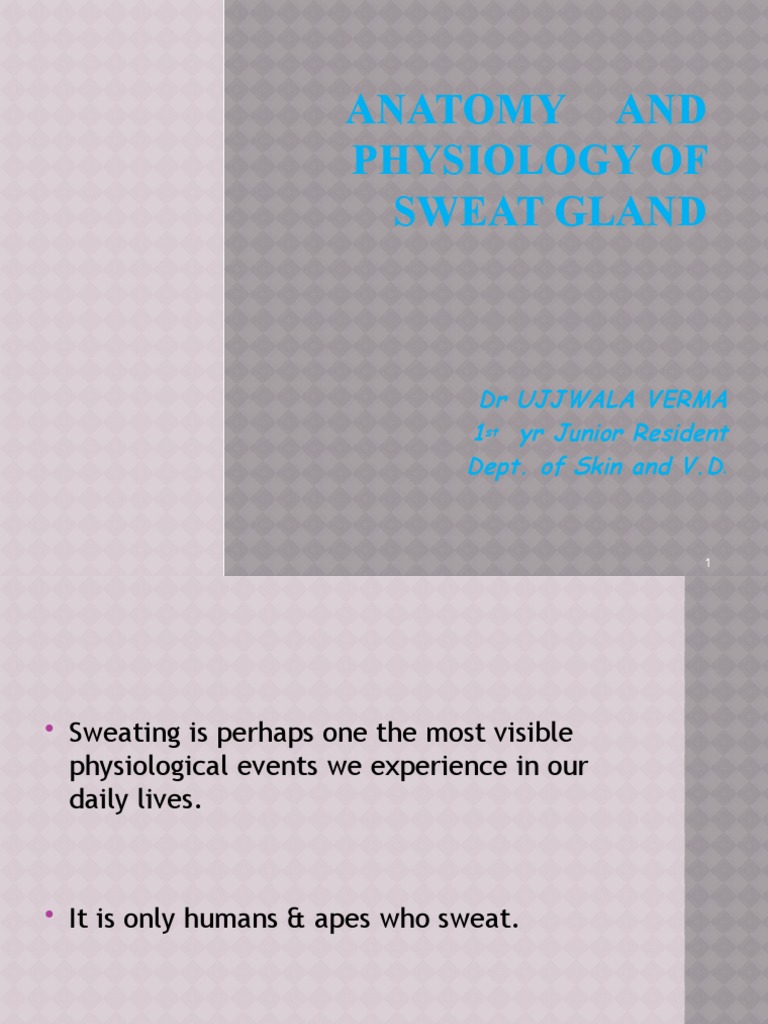 Anatomy and Physiology of Sweat Glands | PDF | Organ (Anatomy ...