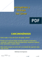 Factores Etiopatogenicos Exogenos Carcinogenos Ambientales, Químicos, Físicos, Biológicos, Endogenos.
