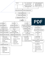 Pathway Bronkitis