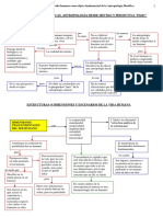 Mapa+conceptual+tema+1 Antropologia Filosofica Uned