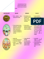 Cuadro Comparativo