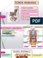 8.topografía Del Abdomen-2 Año