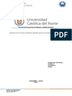 Pauta Seminario Auditoria en PR UCN 2017