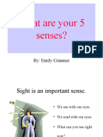 What Are Your 5 Senses?: By: Emily Cranmer