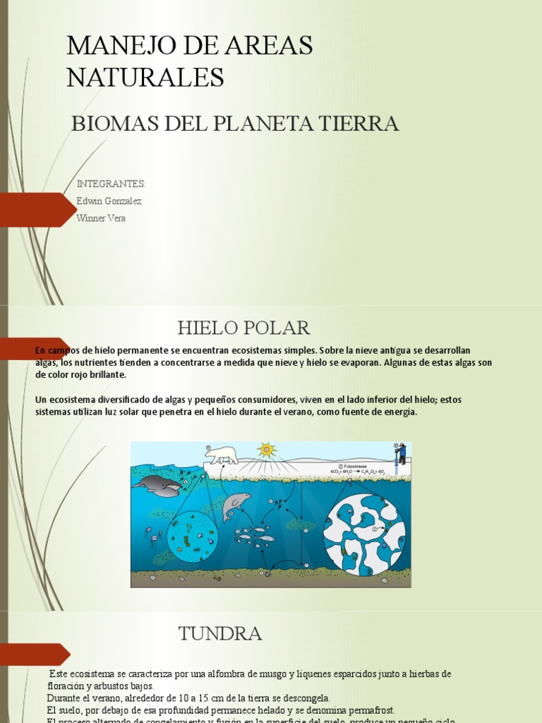 Biomas Del Planeta Tierra-Pendientepptx | PDF | Selva | Zona tropical