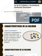 Caracteristicas de La Calidad