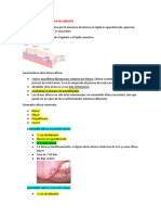 Estomatitis Aftosa Recurrente