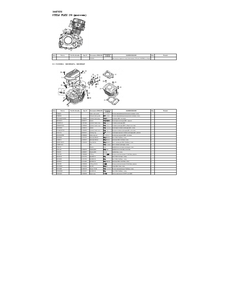 166fmm Stels Flex 250 | PDF