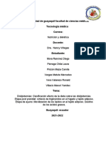 Dislipidemia Gruppo 4 Bioquimica Triptico