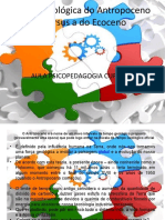 A Era Geológica Do Antropoceno Versus A Do Eccoceno Actual