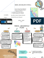 Perfil Geografico