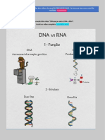 Diferenças Entre DNA e RNA