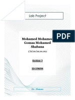 Lab Project: Mohamed Mohamed Gomaa Mohamed Shabana