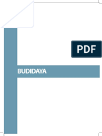 Budidaya: Prakarya