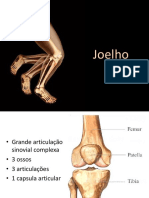 Aula 5 - Joelho, Tornozelo e Pe CINESIOLOGIA