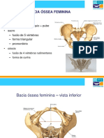 Bacia Ossea Feminina, Cabeça Óssea Fetal, Relações Utero-Fetais e Nomenclatura Obstétrica