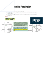 Anerobic Respiration: Anaerobic Energy Density Calorie