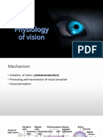 Physiolofyofvision 161025135301