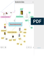 Técnicas de Recolección de Datos - Mapa Mental