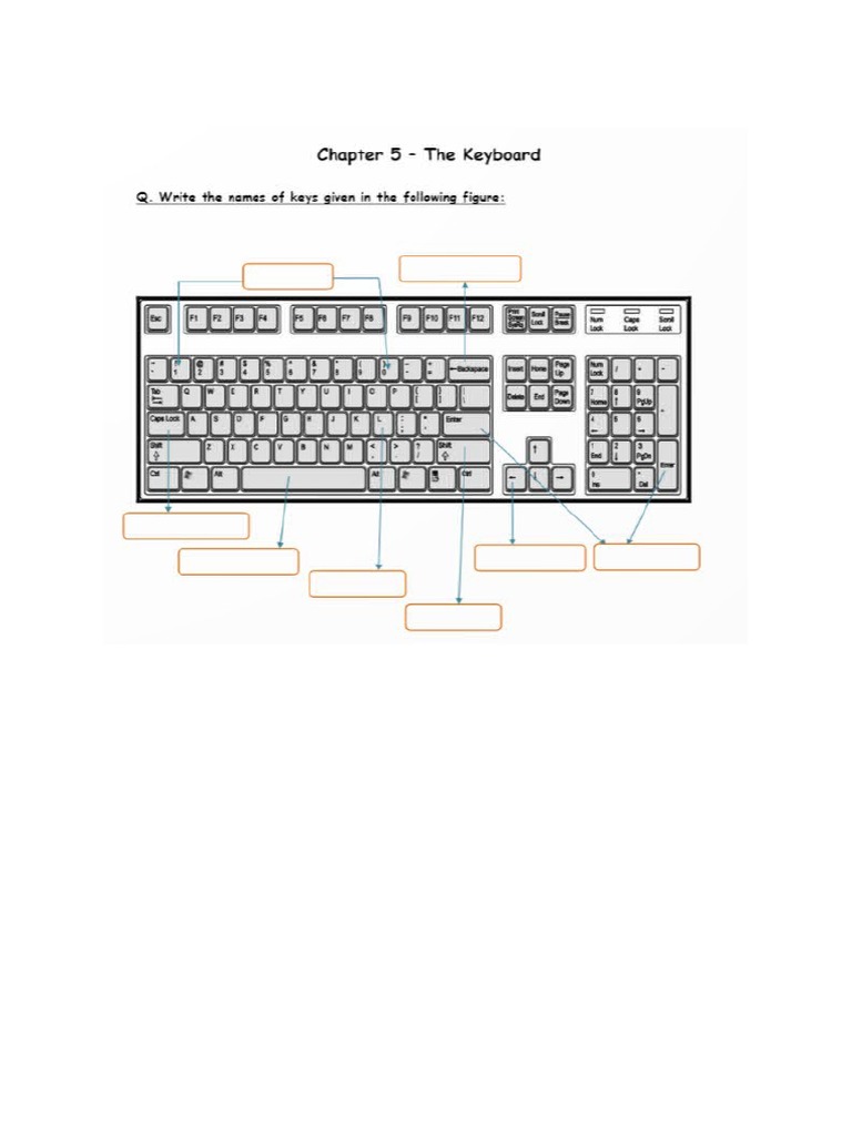 Parts of Keyboard Worksheet | PDF