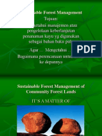 TPwhat Is Sustainable Forest Management