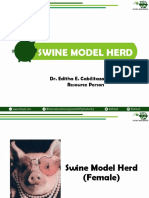 1 Swine Model Herd