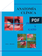 Anatomía Clínica Del Perro y El Gato