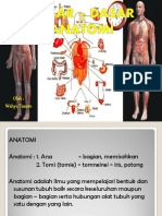 Dasar-Dasar Anatomi