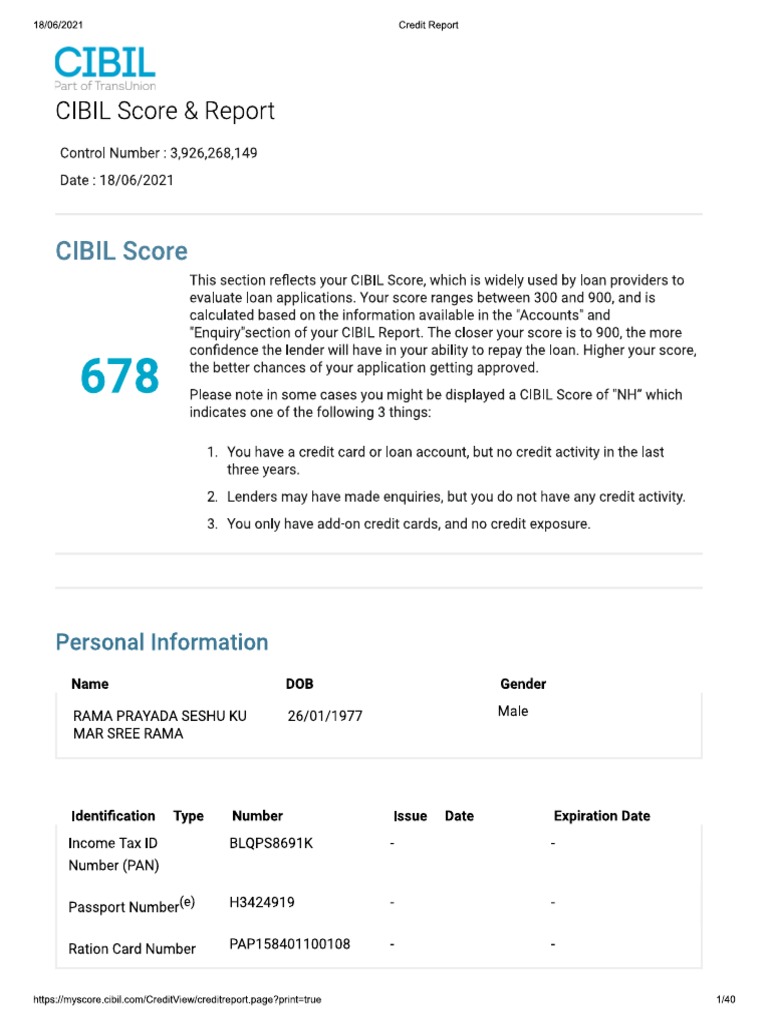 Cibil Report | PDF