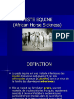 Peste Equine