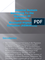 The Ancestral Domain Belonging To The Higaunon of Agtulawon Mintapod Higaunon Cumadon (AGMIHICU)