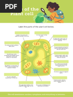 Label The Parts of The Plant Cell Below