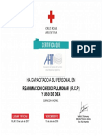 Certificado Grande RCP +DEA MEE-Con La Base