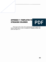 Templates For Streaking Colonies