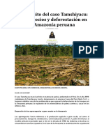 Tamshiyacu y La Deforestacion